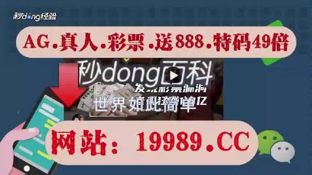 2024澳门天天开好彩大全正版,|精选资料解析大全