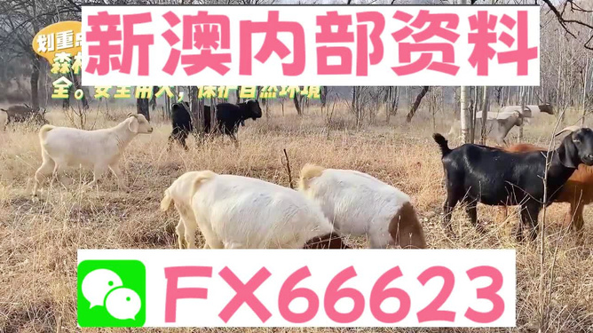 新澳2024年精准特马资料,|精选资料解析大全