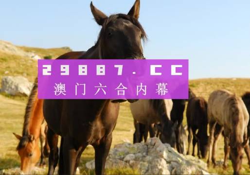 管家婆一肖一码澳门,|精选资料解析大全