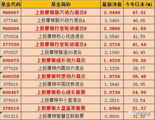 新奥门天天开奖资料大全,|精选资料解析大全