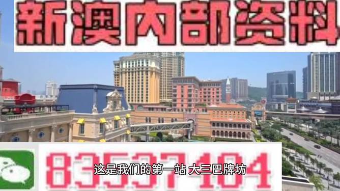 2024新澳门天天彩期期精准,|精选资料解析大全