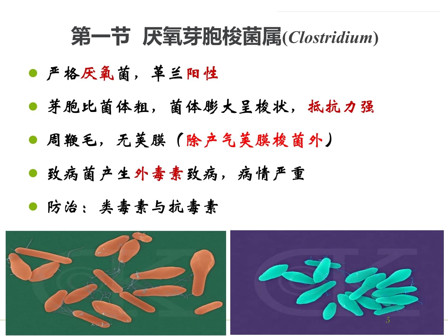 厌氧微生物学最新的书